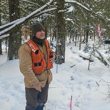 Forestry professional evaluating project in the woods