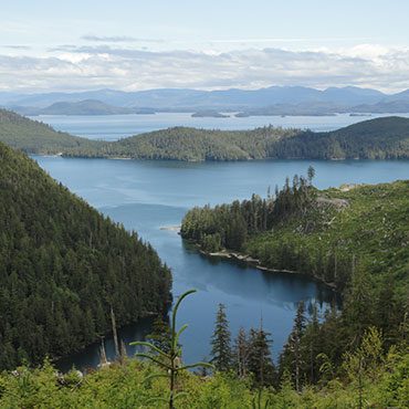Alaskan lake surrounded by timberland
